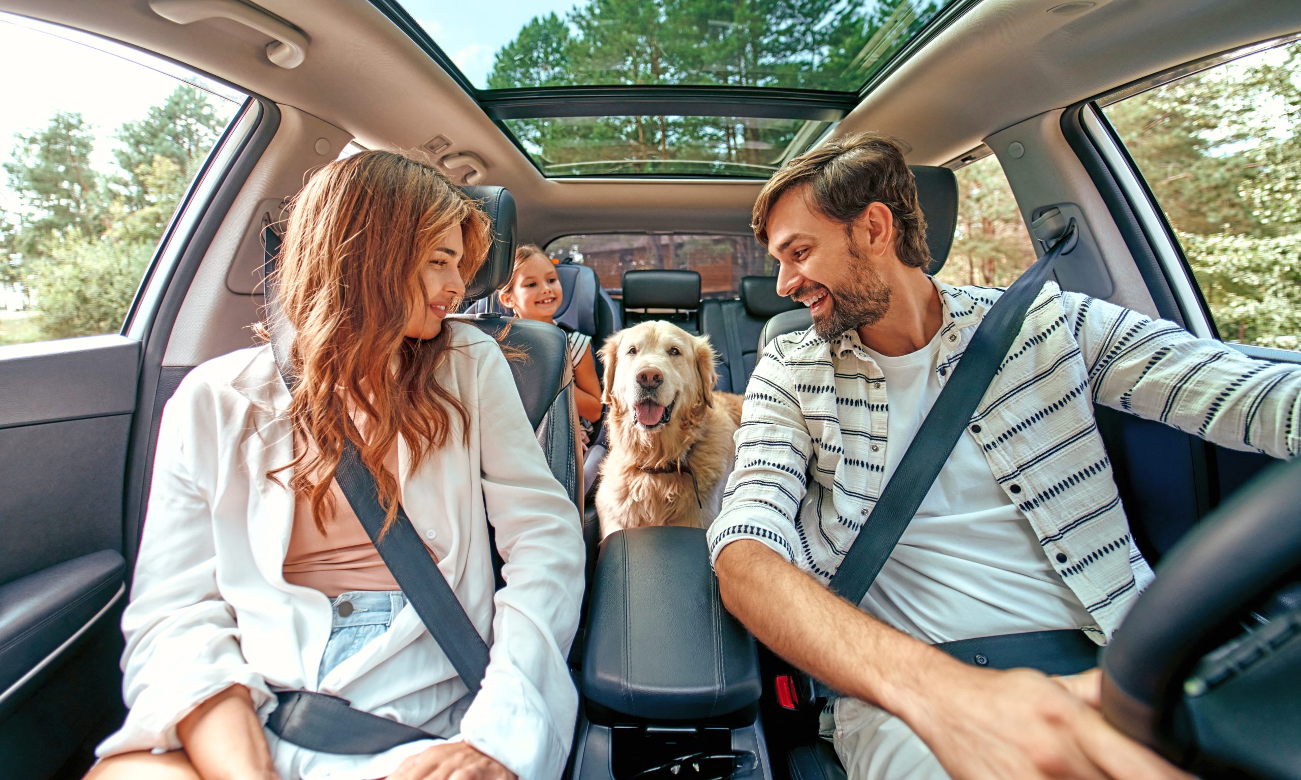 Quand poser ses congés 2023 ? Camping la Pinède